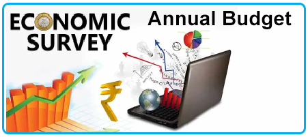 annual budget and economic survay