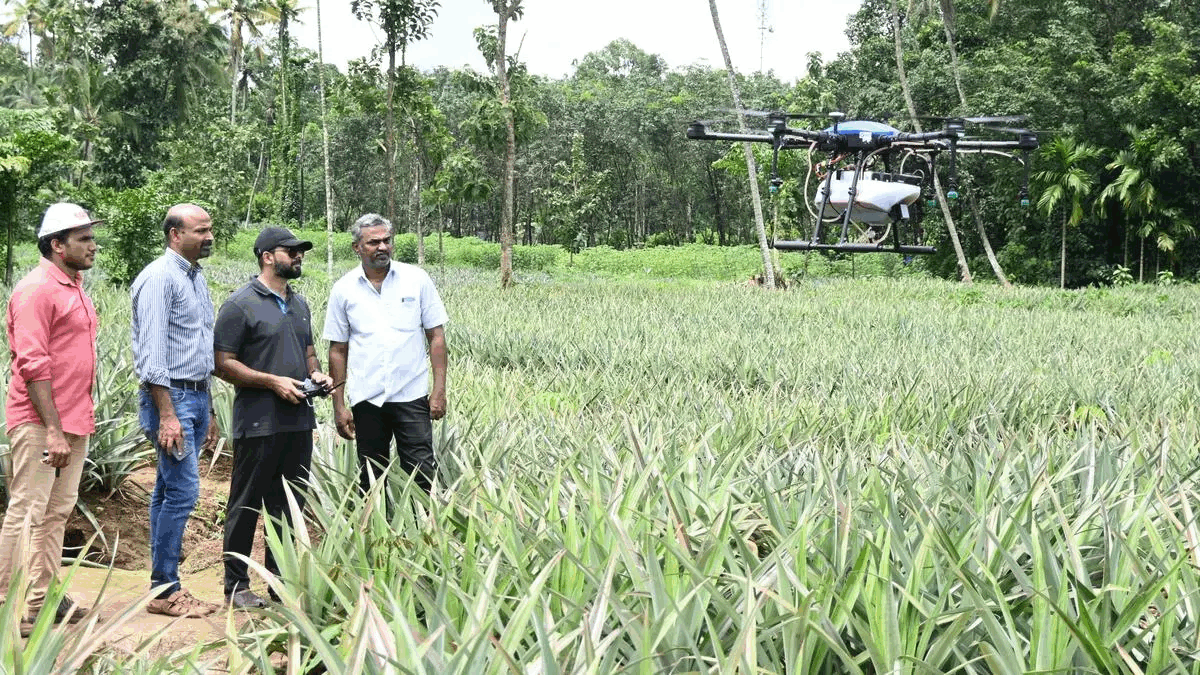 Drone Technology in Pineapple Cultivation - C4S Courses
