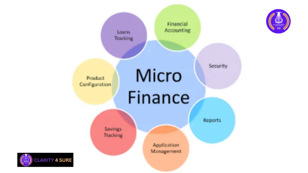 Microfinance Institutions