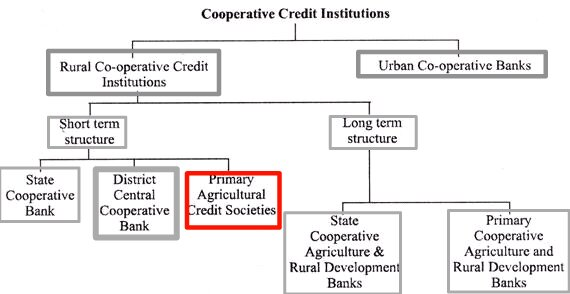 Cooperative Credit Institutions