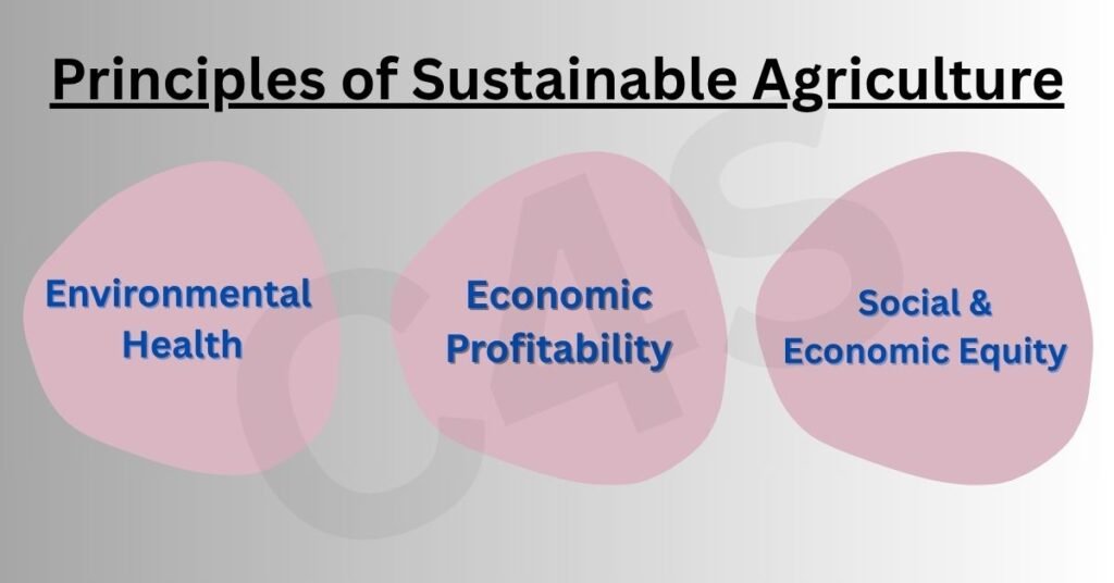 Sustainable Agriculture 2 Principles of Sustainable Agriculture