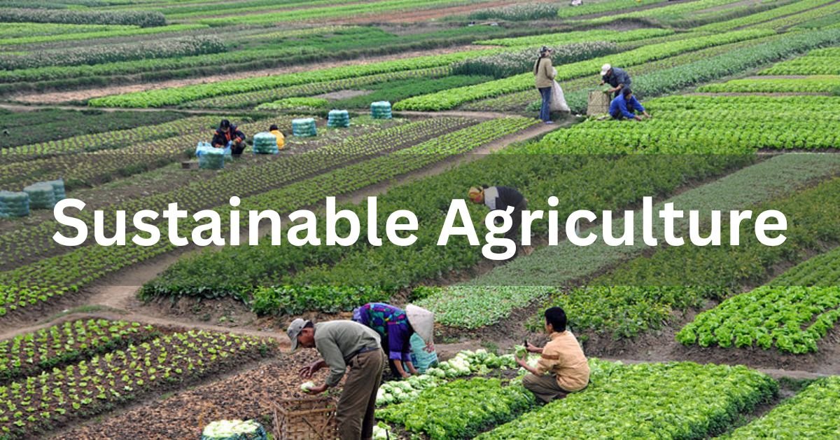 Sustainable Agriculture