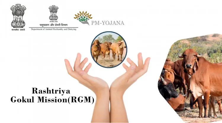 Rashtriya Gokul Mission 1 image 34
