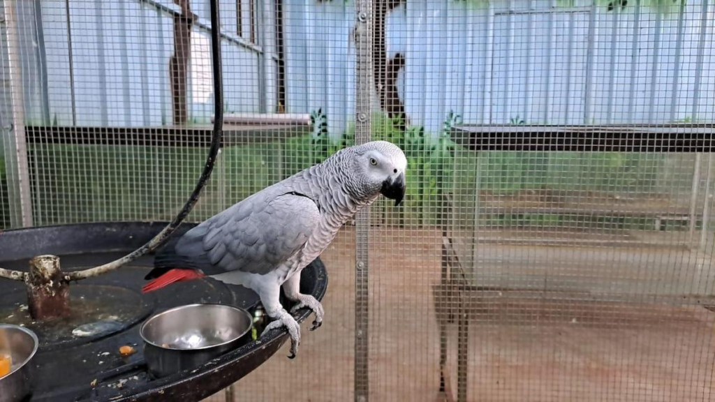 Daily Current Affairs (DCA) 23&24 November, 2025 1 image 2