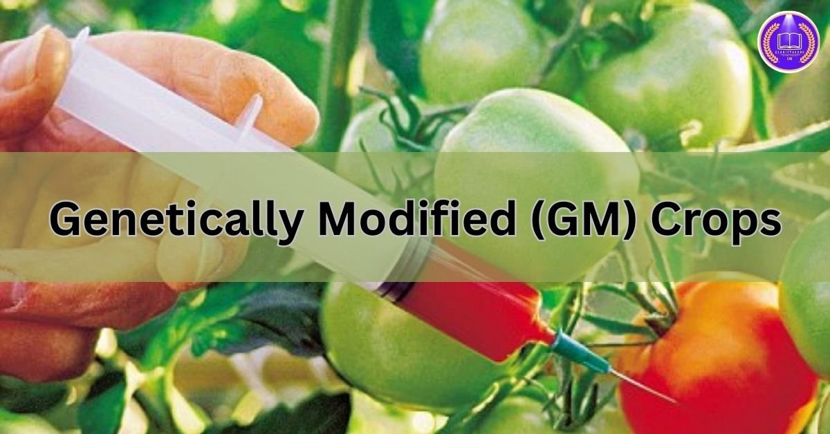 Genetically-Modified-GM-Crops
