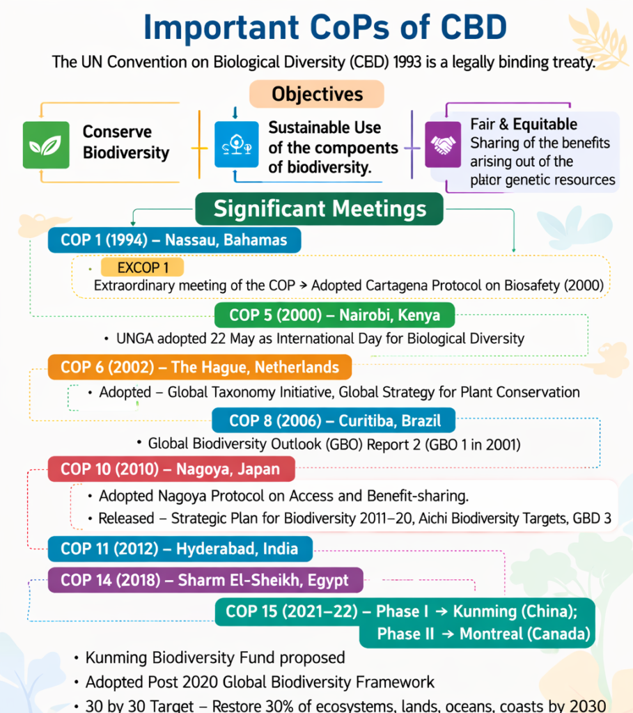 ChatGPT Image Mar 9 2026 01 04 29 PM