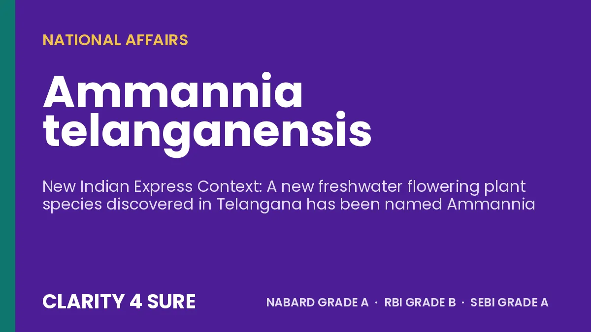 Ammannia telanganensis