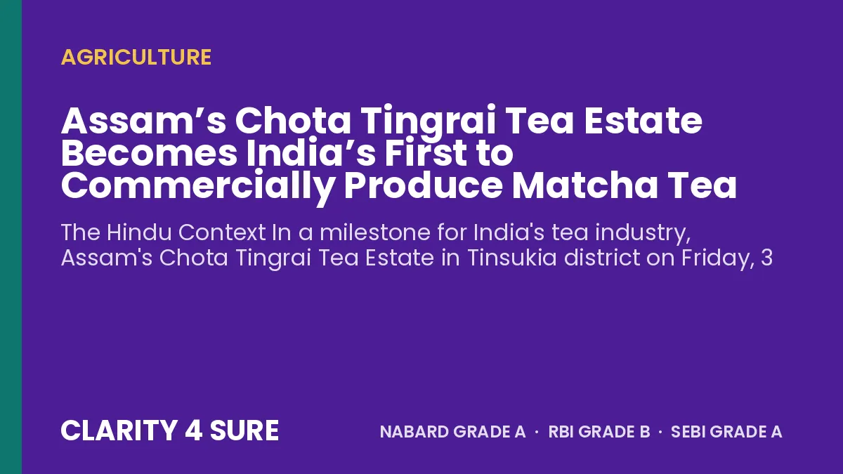 Assam’s Chota Tingrai Tea Estate Becomes India’s First to Commercially Produce Matcha Tea