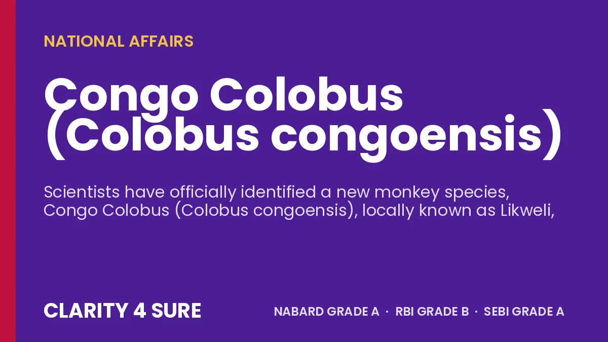 Congo Colobus (Colobus congoensis)