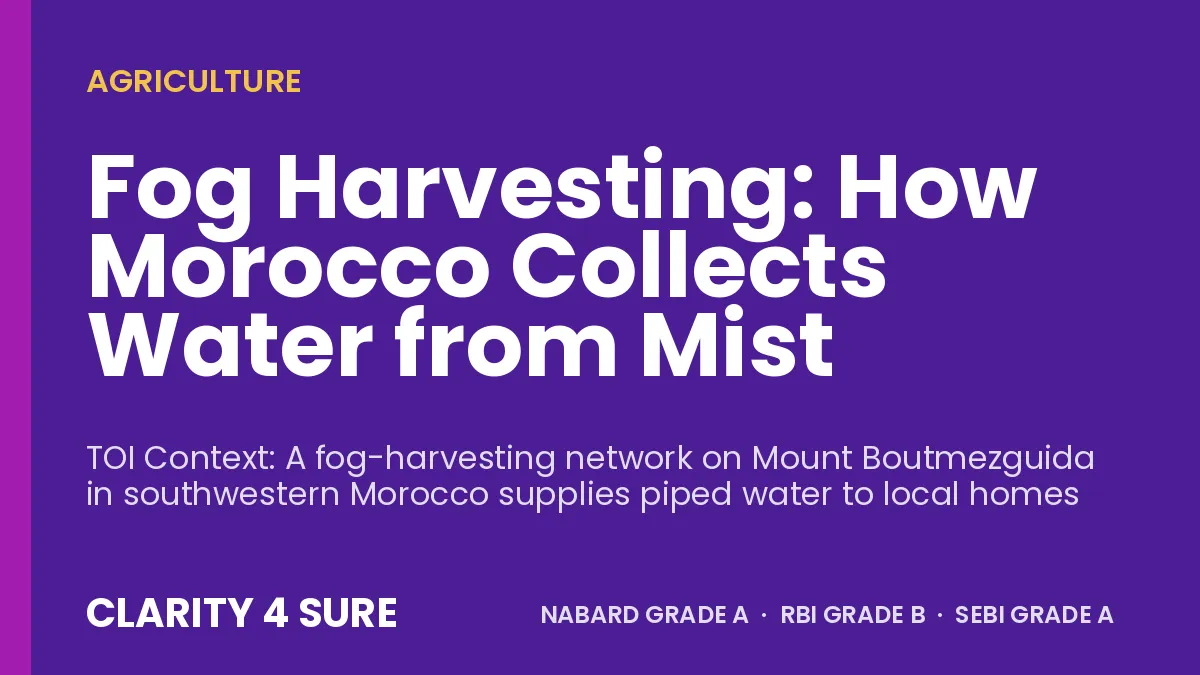 Fog Harvesting: How Morocco Collects Water from Mist