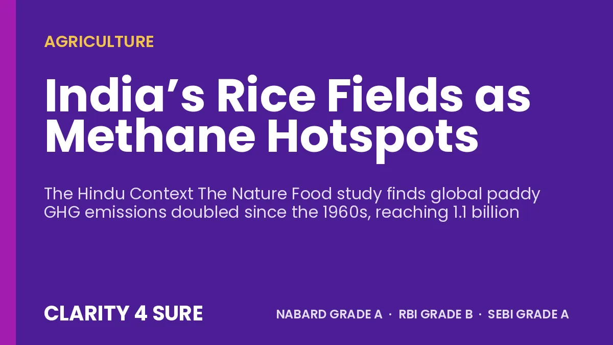 India’s Rice Fields as Methane Hotspots