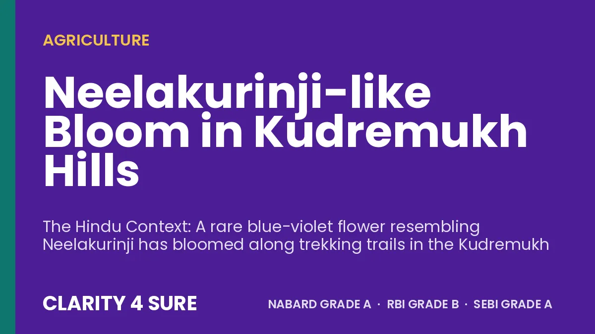 Neelakurinji-like Bloom in Kudremukh Hills