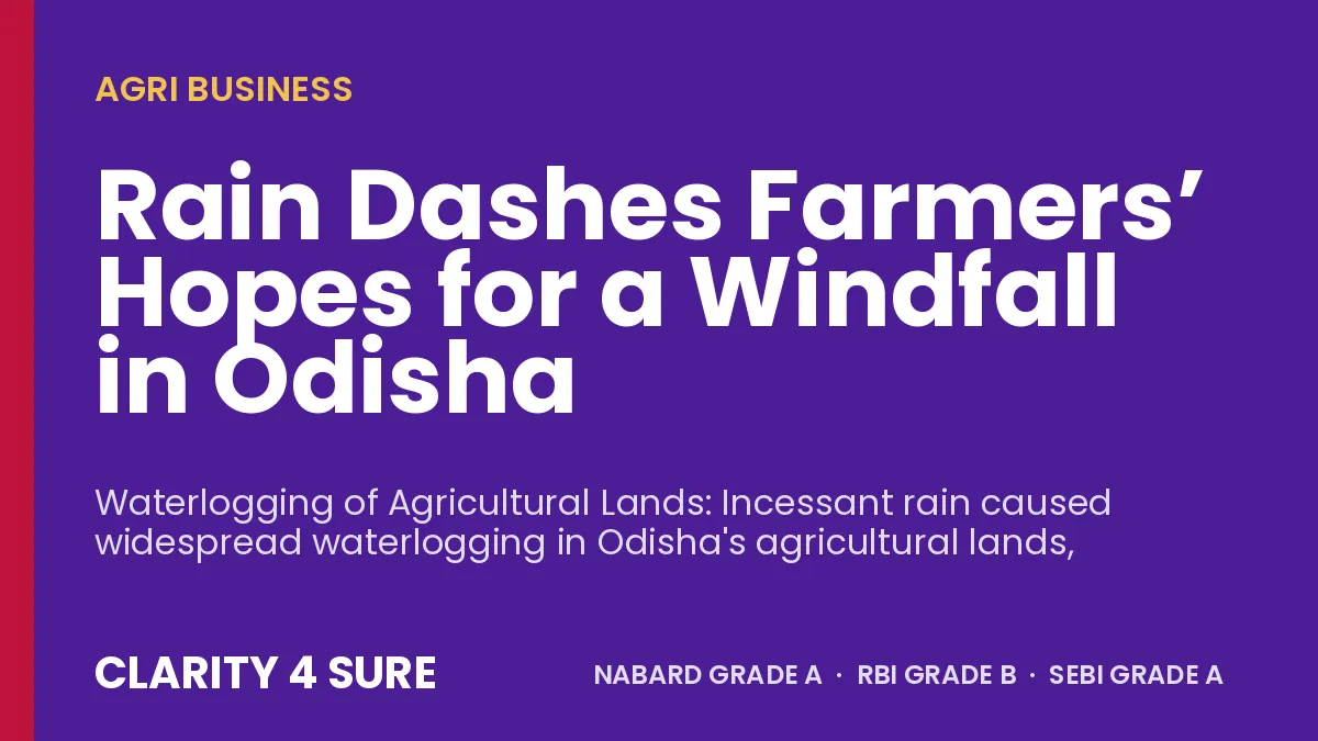 Rain Dashes Farmers’ Hopes for a Windfall in Odisha