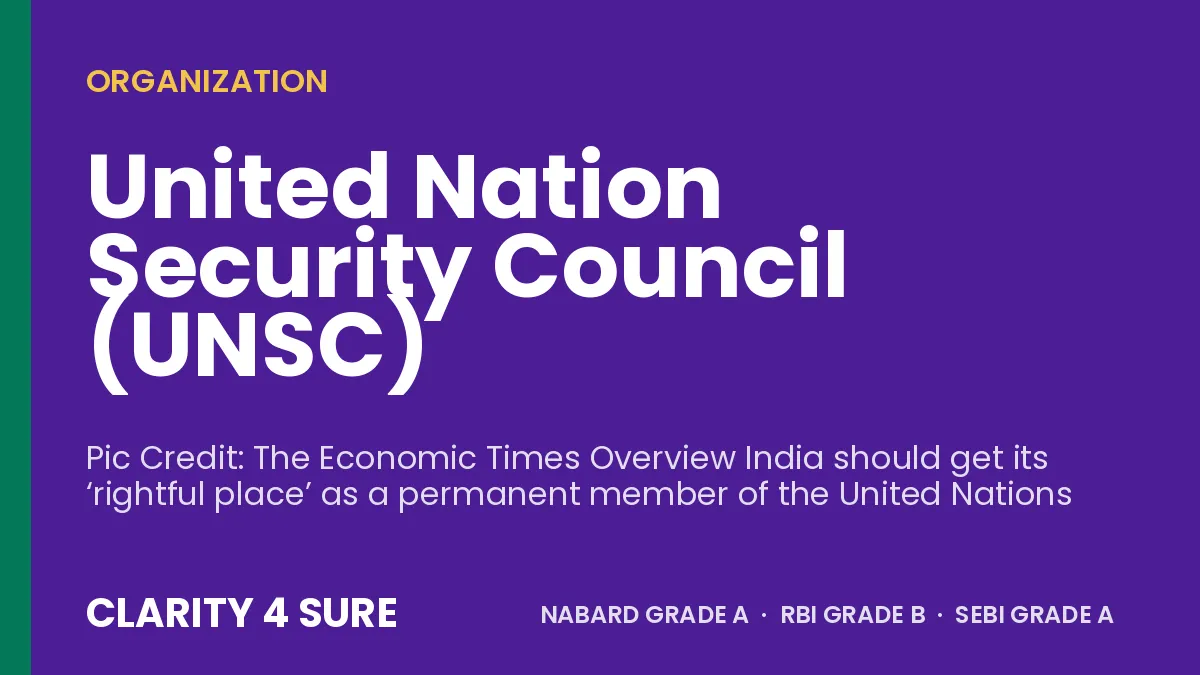United Nation Security Council (UNSC)