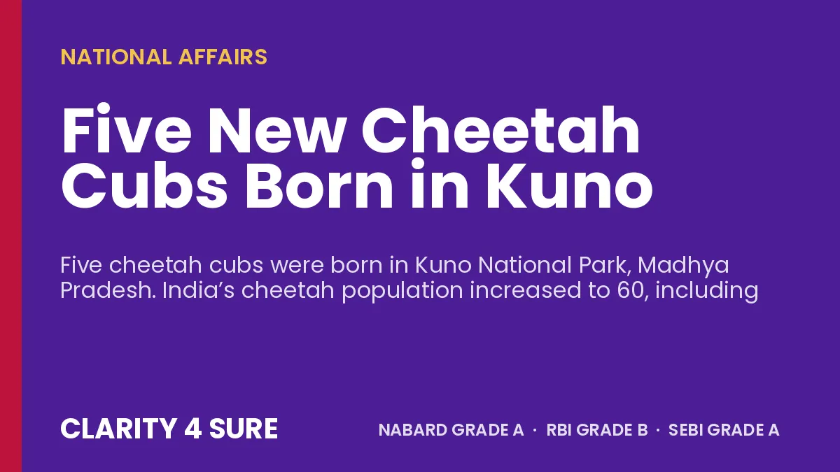 Five New Cheetah Cubs Born in Kuno
