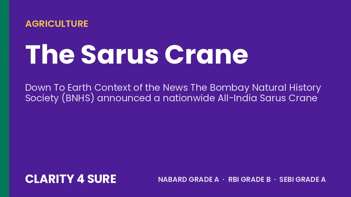 The Sarus Crane