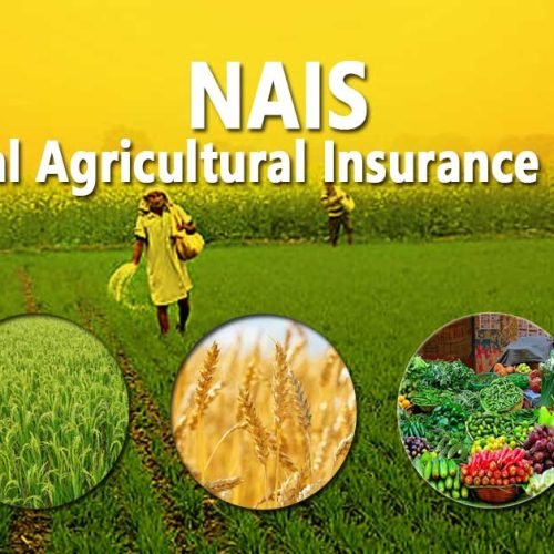 National Agricultural Insurance Scheme
