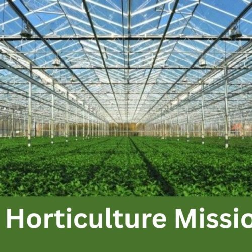 National Horticulture Mission (NHM)