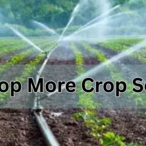 Per Drop More Crop Scheme